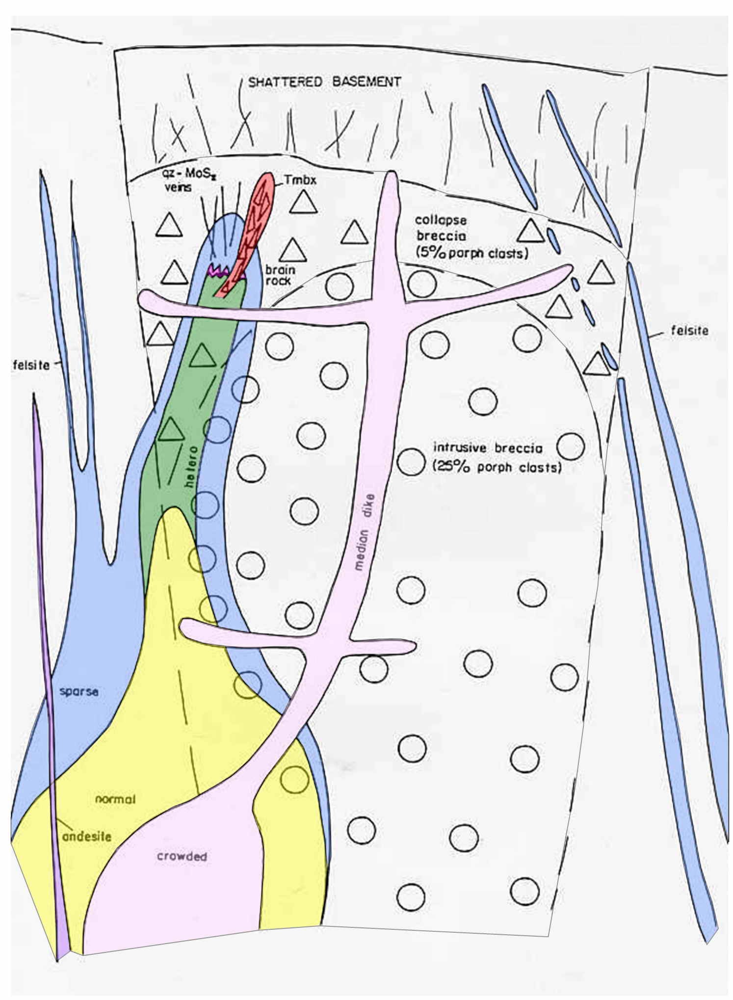FIGURE 20 : Kidston Gold deposit. Schematic section showing different intrusive phases and breccia types within the pipe. Interpretation based on open cut mapping and deep diamond drill core logs.