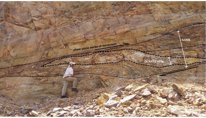 PLATE 19: Photo of mineralised quartz vein in north wall of the main Mount Hogan open cut. Shows shallow plunge of structure, sense of movement of thrust forming the lode of sheared and brecciated granite and opening up tension gashes filled with quartz and sulphides.