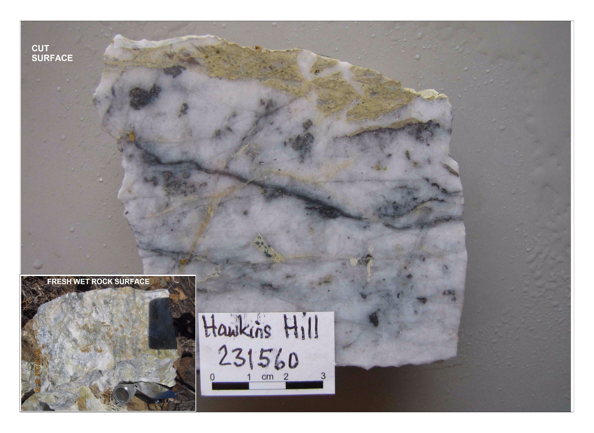 PLATE 21 : Photograph of sample of ore from Hawkins Hill, Durham Camp, Georgetown. Insert shows rough , coarsely crystalline, buck quartz with little textural variation on fresh rock sample compared to the same specimen cut with a diamond saw producing a polished face revealing a complex, multi-phase history of quartz and sulphide development along fractures and in veins.