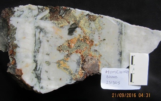 PLATE 27 : Sample from Homeward Bound gold mine, Mountain Maid Camp, Percyvale area. White, medium grained, tightly packed, euhedral buck quartz, cut by stylolites and weakly brecciated and infilled by iron carbonate, pyrite, chalcopyrite and galena (sample 231305, 3.02 g/t Au, 78.9 g/t Ag, 126 g/t Bi).
