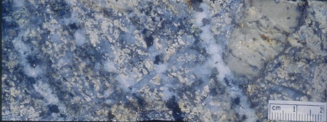PLATE 30a : Kidston sheeted vein gold mineralisation. Similar quartz, carbonate, sulphide infill as breccia matrix. Believed to have formed simultaneously with the late stage breccia mineralisation during magma withdrawal and collapse/sagging of the breccia pipe.
