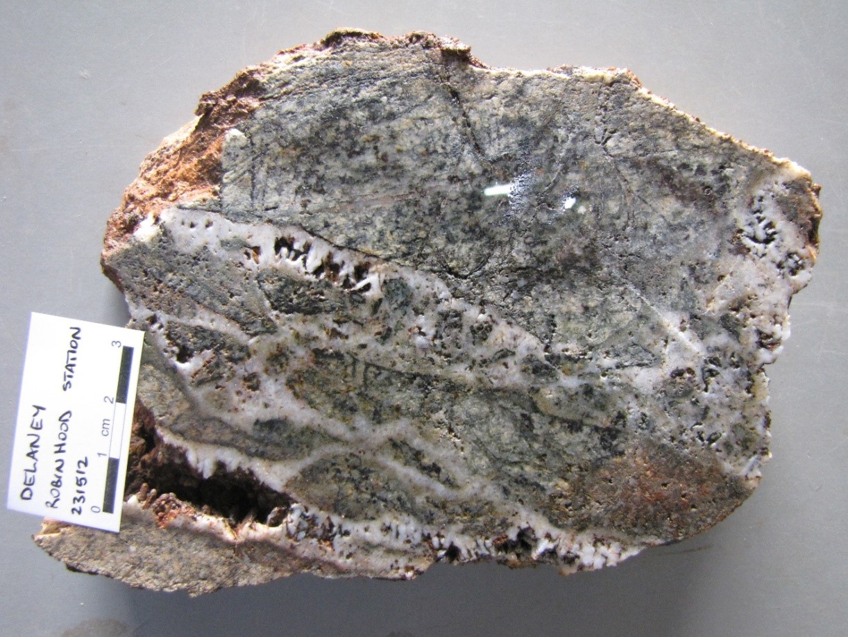 PLATE 12: Brecciated granite cemented by fine comb quartz. Note euhedral quartz terminations in vughs. Delaney Prospect, Robin Hood Station. Intrusion Related Mesozonal (Sample #231512; 0.26 g/t Au, 13.05 g/t Ag).
