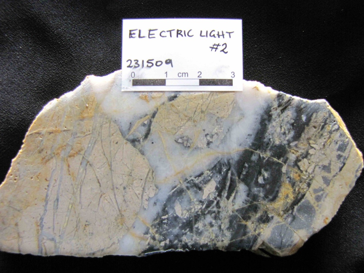 PLATE 13: Early phase of brecciation cemented by fine, black silica-pyrite cut by a stockwork of clear to white, fine comb quartz. Rhyolite breccia ore from Electric Light. Intrusion Related Epizonal (Sample #231509; 70.9 g/t Au, 50.6 g/t Ag).