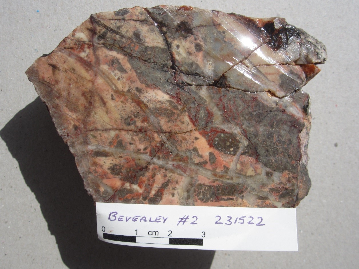 PLATE 14: Polymictic breccia composed of clasts of porphyry and schist in a silicified rock flour matrix cut by numerous generations of very fine quartz. Sample of mineralisation from the Beverley Mine, Einasleigh. Intrusion Related Epizonal (Sample #231522; 0.82 g/t Au, 0.44 g/t Ag).