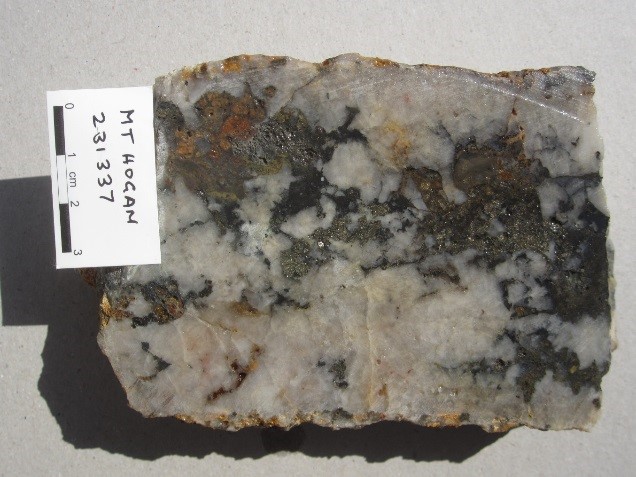 PLATE 18 : Photo of typical high grade Mount Hogan vein ore. Recrystallised and brecciated coarse comb quartz with infill of chlorite, pyrite, pyrrhotite & chalcopyrite. Sample 231331; 336 g/t Au, 498 g/t Ag, 1.315% Cu, 876 g/t Bi, with anomalous Pb and As.
