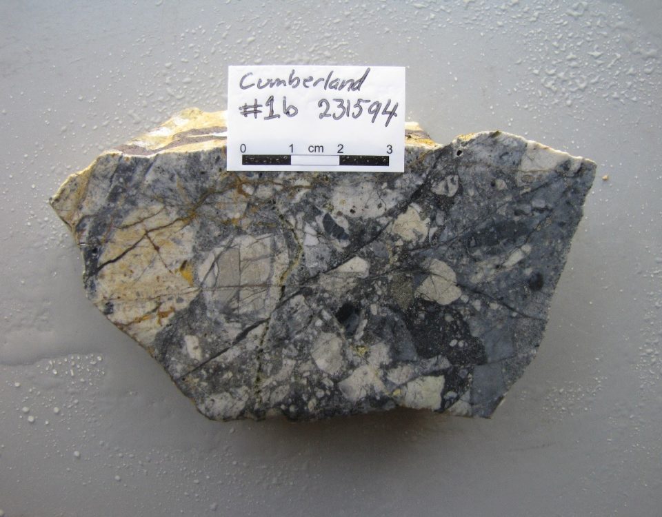 PLATE 3. Polymict matrix support breccia with a complex history of formation. At least four phases of pre-breccia and post-breccia quartz veining of variable texture. Fine, dark coloured, silica – pyrite breccia cement. Specimen of ore from the Cumberland Mine, Georgetown (Sample #231594; 4.46 g/t Au, 24.3 g/t Ag).