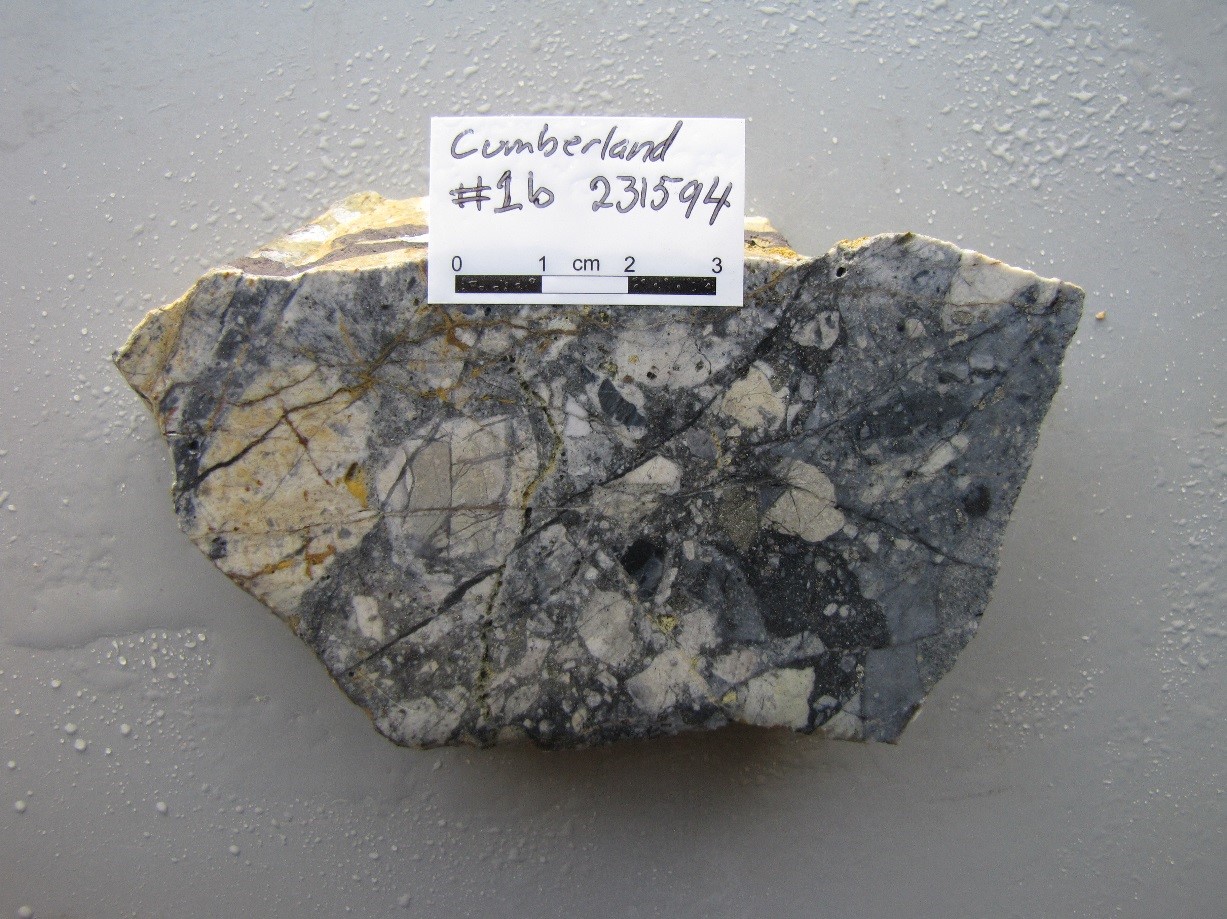 PLATE 3. Polymict matrix support breccia with a complex history of formation. At least four phases of pre-breccia and post-breccia quartz veining of variable texture. Fine, dark coloured, silica – pyrite breccia cement. Specimen of ore from the Cumberland Mine, Georgetown (Sample #231594; 4.46 g/t Au, 24.3 g/t Ag).